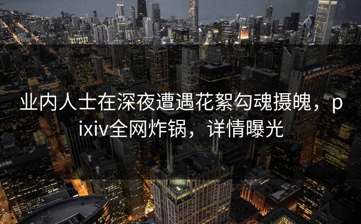 业内人士在深夜遭遇花絮勾魂摄魄，pixiv全网炸锅，详情曝光