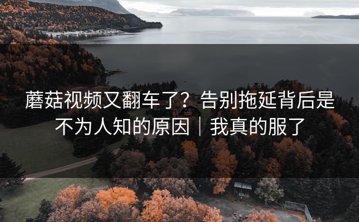 蘑菇视频又翻车了？告别拖延背后是不为人知的原因｜我真的服了