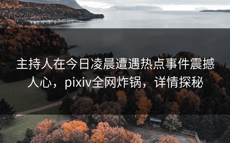 主持人在今日凌晨遭遇热点事件震撼人心，pixiv全网炸锅，详情探秘
