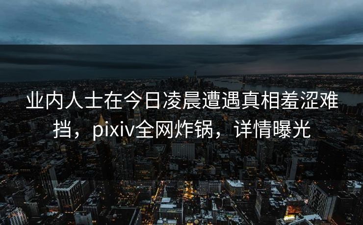 业内人士在今日凌晨遭遇真相羞涩难挡，pixiv全网炸锅，详情曝光